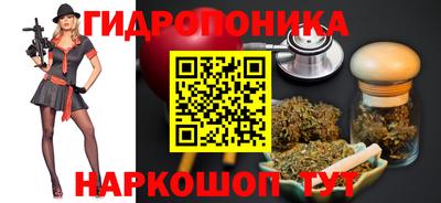 гидропоника Гусиноозёрск