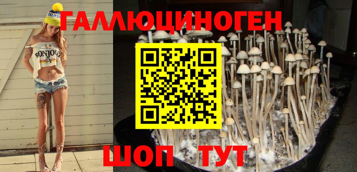 МДМА  АМФЕТАМИН   Марихуана  МЕТАМФЕТАМИН  Гашиш  Меф МЯУ МЯУ кристаллы  Кетамин  Alpha-PVP СК   Лсд 25  Можайск  Гашиш  Cocaine  Вход с VPN 